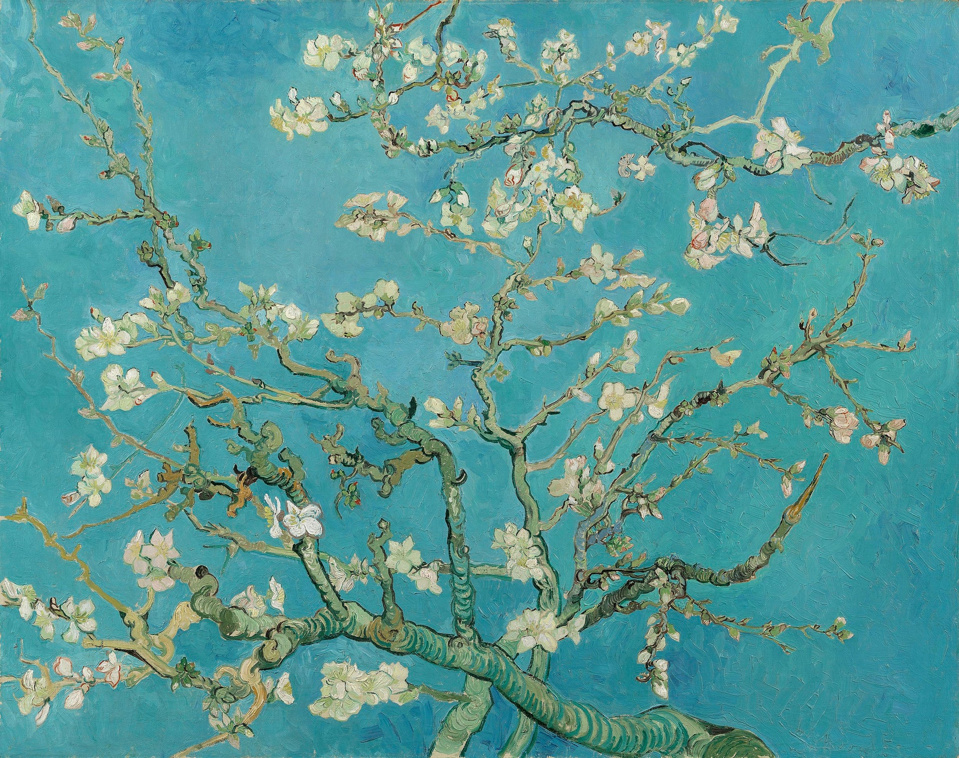 Mandloně v květu - Vincent van Gogh