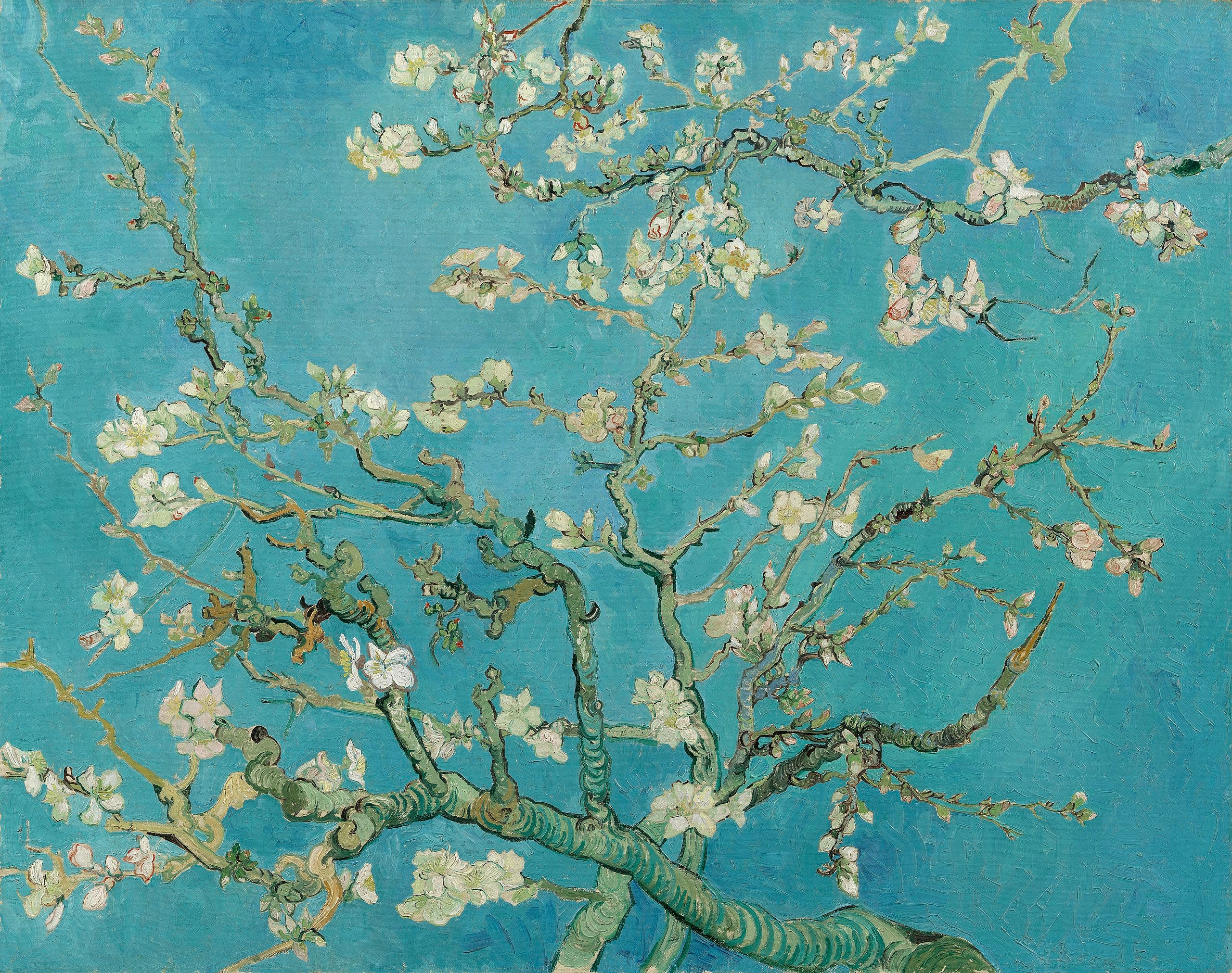 Mandloně v květu - Vincent van Gogh