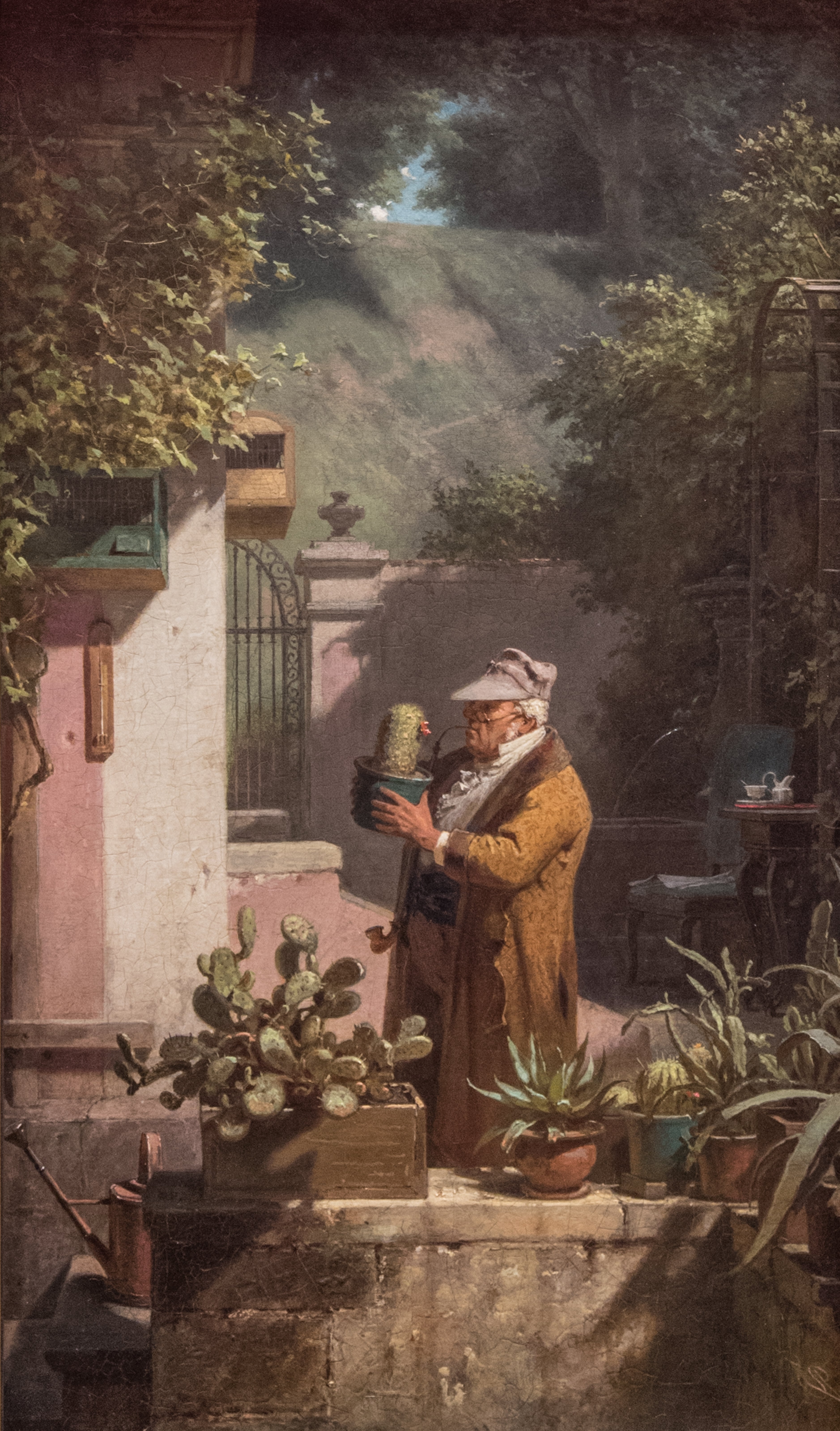 Milovník kaktusů - Carl Spitzweg