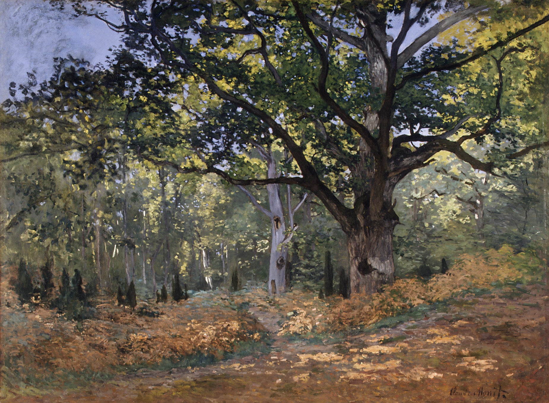 Dub Bodmer, cesta do Chailly - Claude Monet