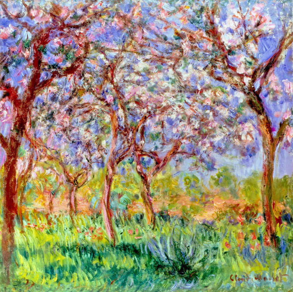 Jaro v Giverny - Claude Monet