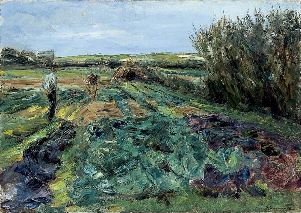 Zeleninové pole (zeleninové pole v Noordwijku) - Max Liebermann