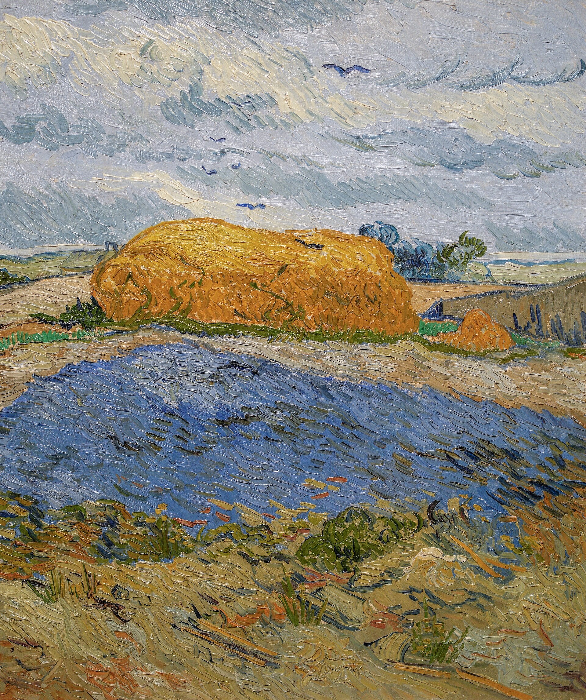 Senohraby pod deštivou oblohou - Vincent van Gogh