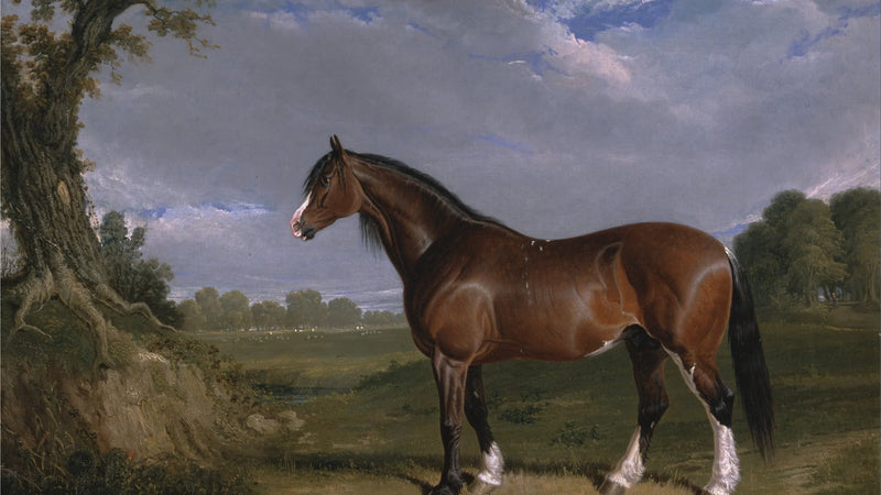 John Frederick Herring Sr