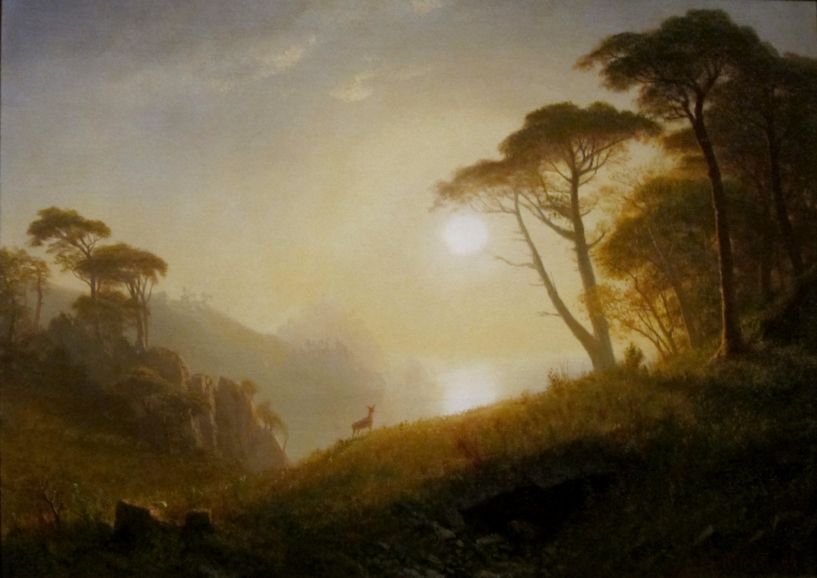 Scène dans la vallée de Yosemite - Albert Bierstadt