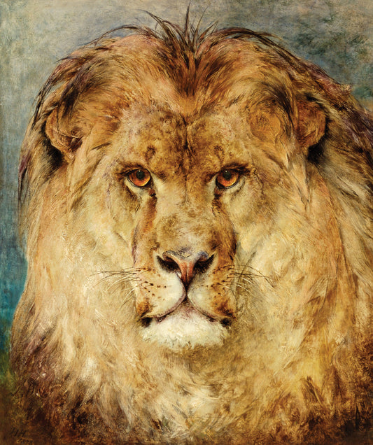 Une tête de lion - Heywood Hardy - Reproductions de tableaux et peintures haut de gamme