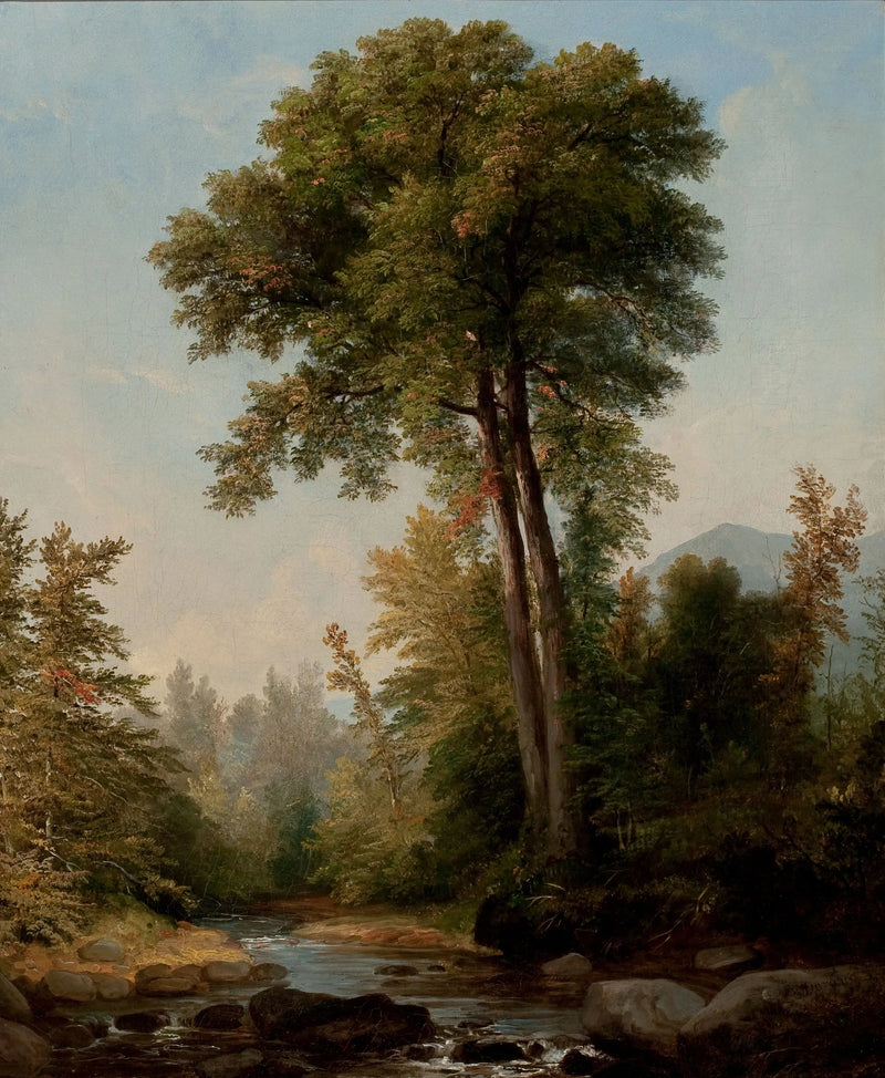 Přirozený monarch - Asher Brown Durand