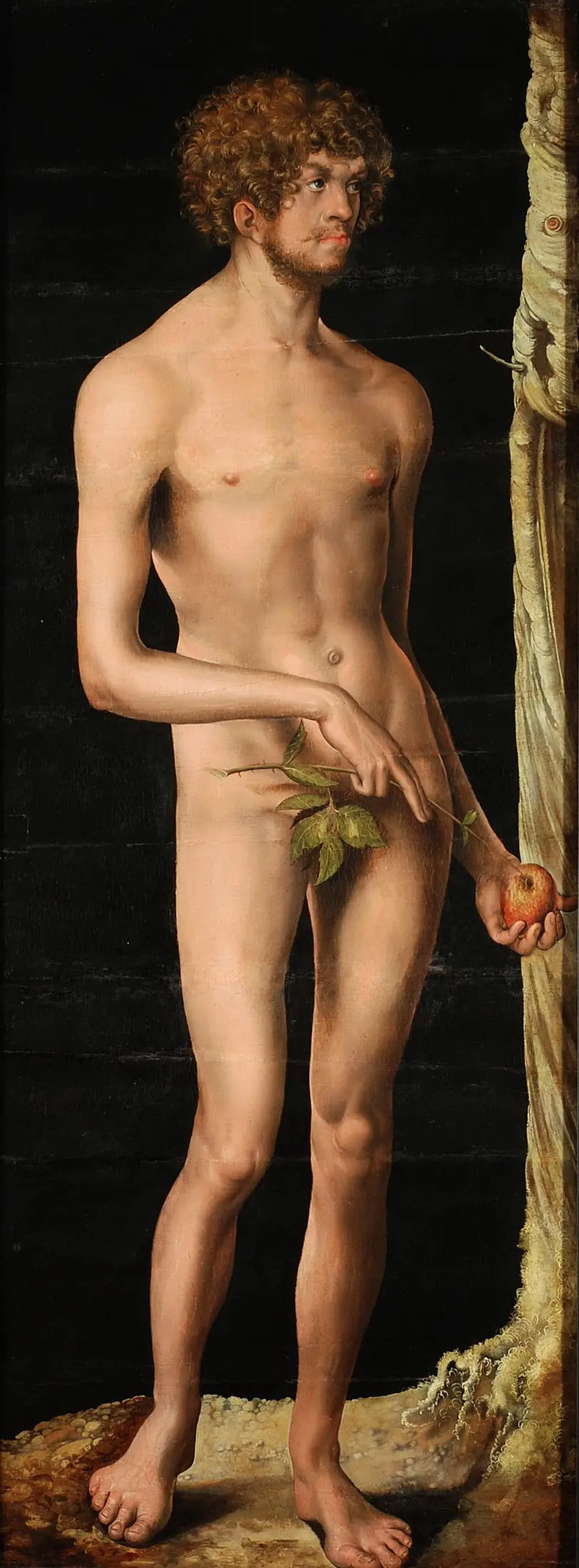 Adam - Lucas Cranach starší