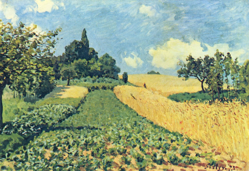 Pšeničná pole na výšinách Argenteuil - Alfred Sisley