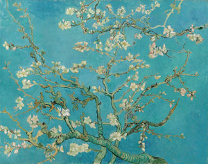 Mandloně v květu - Vincent van Gogh