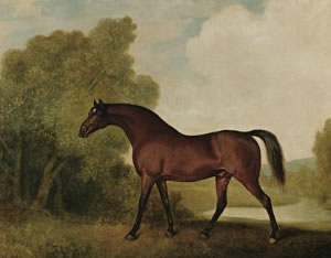 Ambrosio, un étalon bai, propriété de Thomas Haworth - George Stubbs