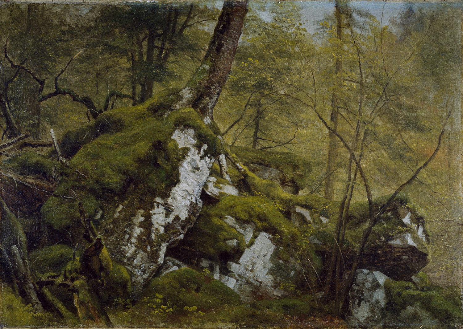 Étude d'un intérieur en bois - Asher Brown Durand