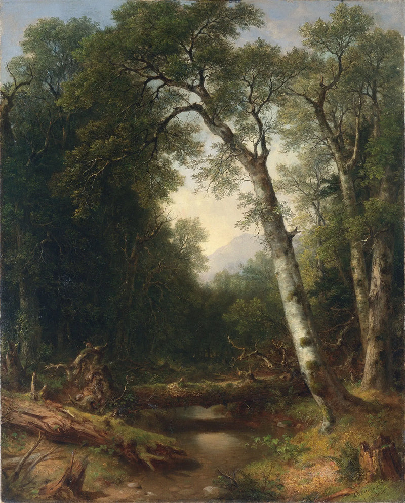 Potok v lese - Asher Brown Durand