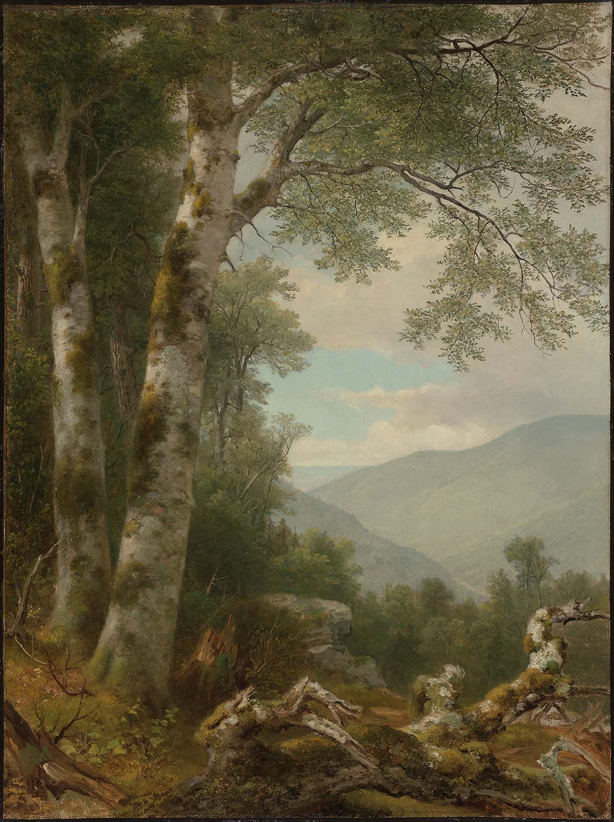 Paysage avec des bouleaux - Asher Brown Durand