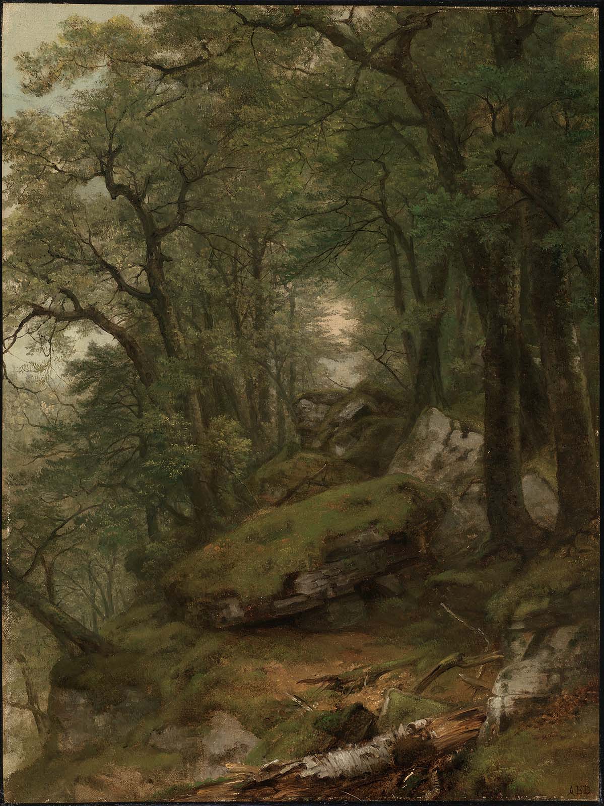 Intérieur boisé - Asher Brown Durand