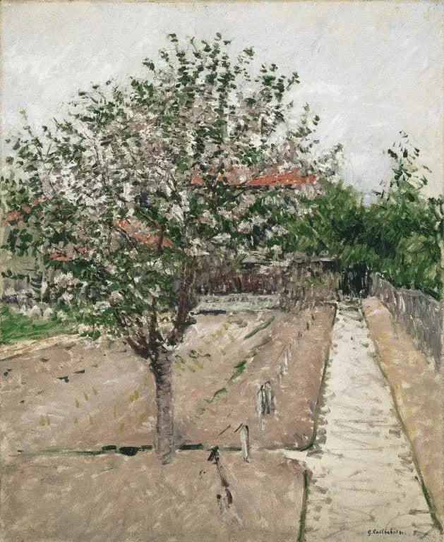 Jabloň v květu - Gustave Caillebotte