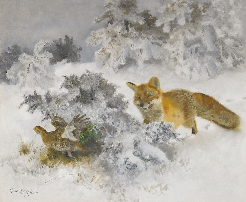 Renard et poule tétras lyre dans un paysage hivernal - Bruno Liljefors