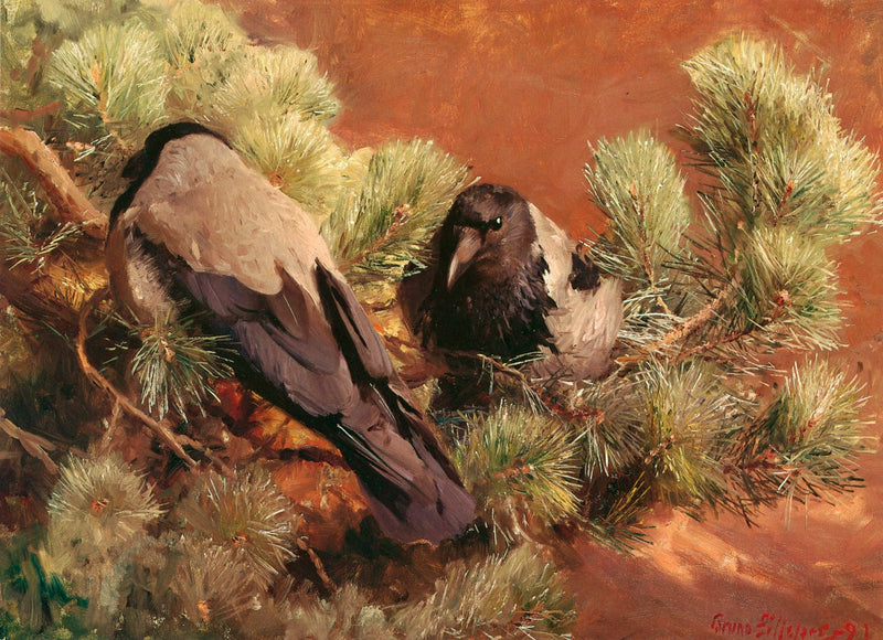 Corbeaux à capuchon - Bruno Liljefors