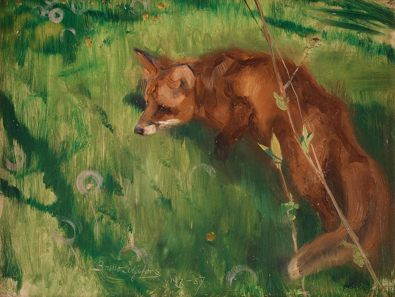 Renard à l'affût, Grez - Bruno Liljefors