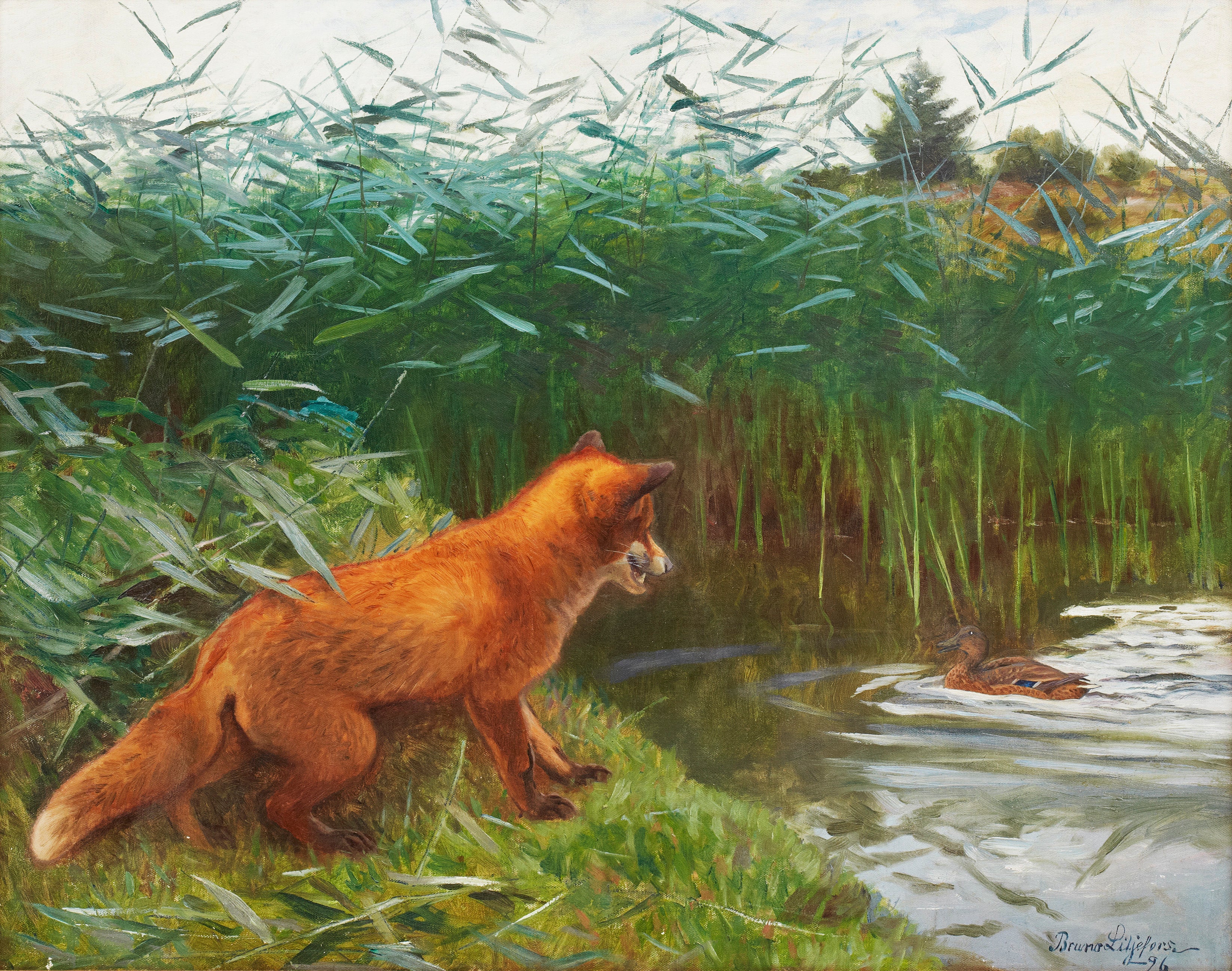 Renard à l'affût - Bruno Liljefors