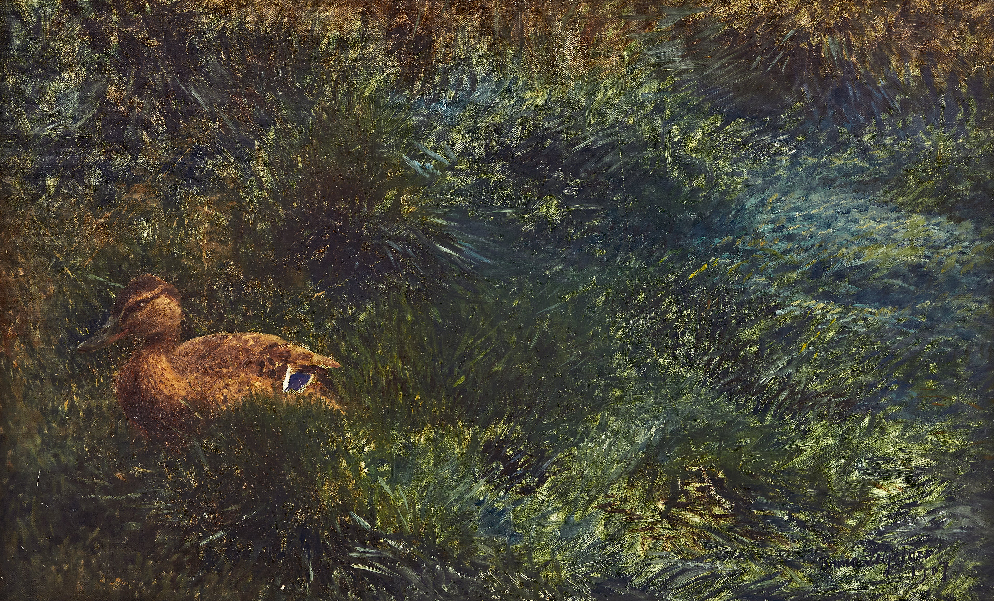 canard sauvage - Bruno Liljefors