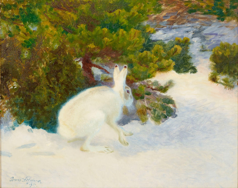 Lièvre d'hiver - Bruno Liljefors