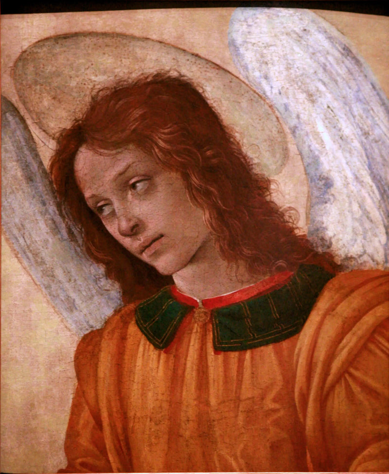 Andělská busta - Filippino Lippi