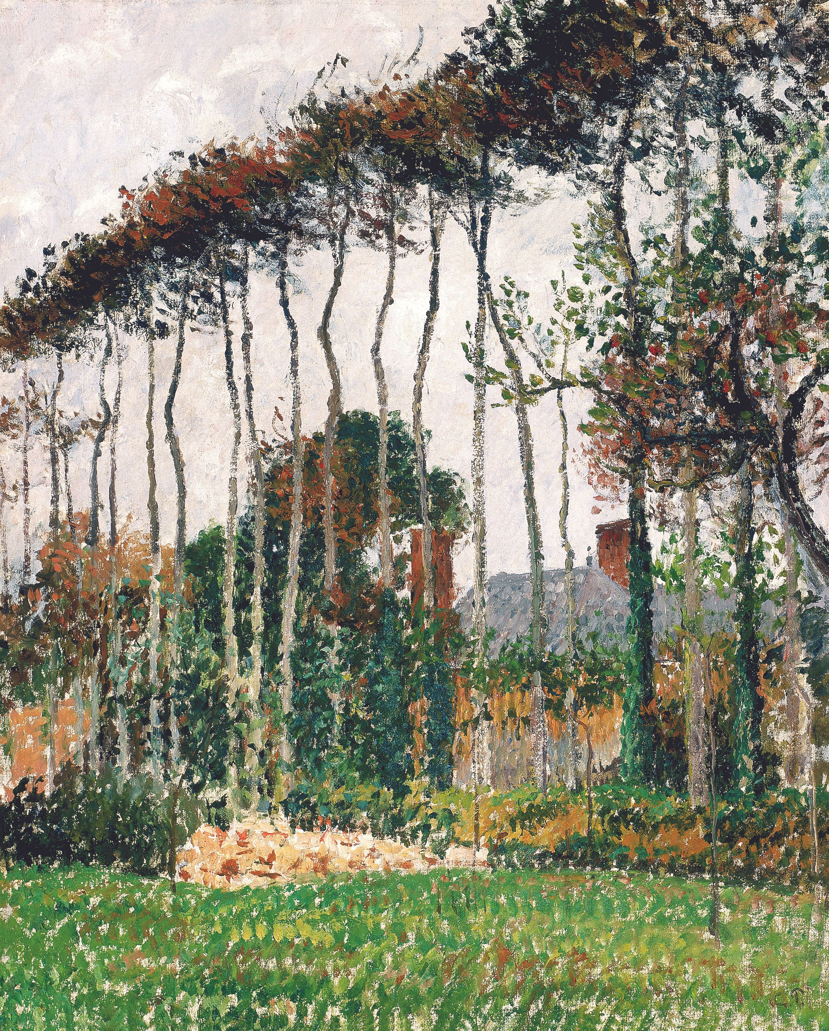 Reproduction du tableau « Les grands hêtres à Varengeville - Camille Pissarro » par Alpha Reproduction en peinture à l’huile