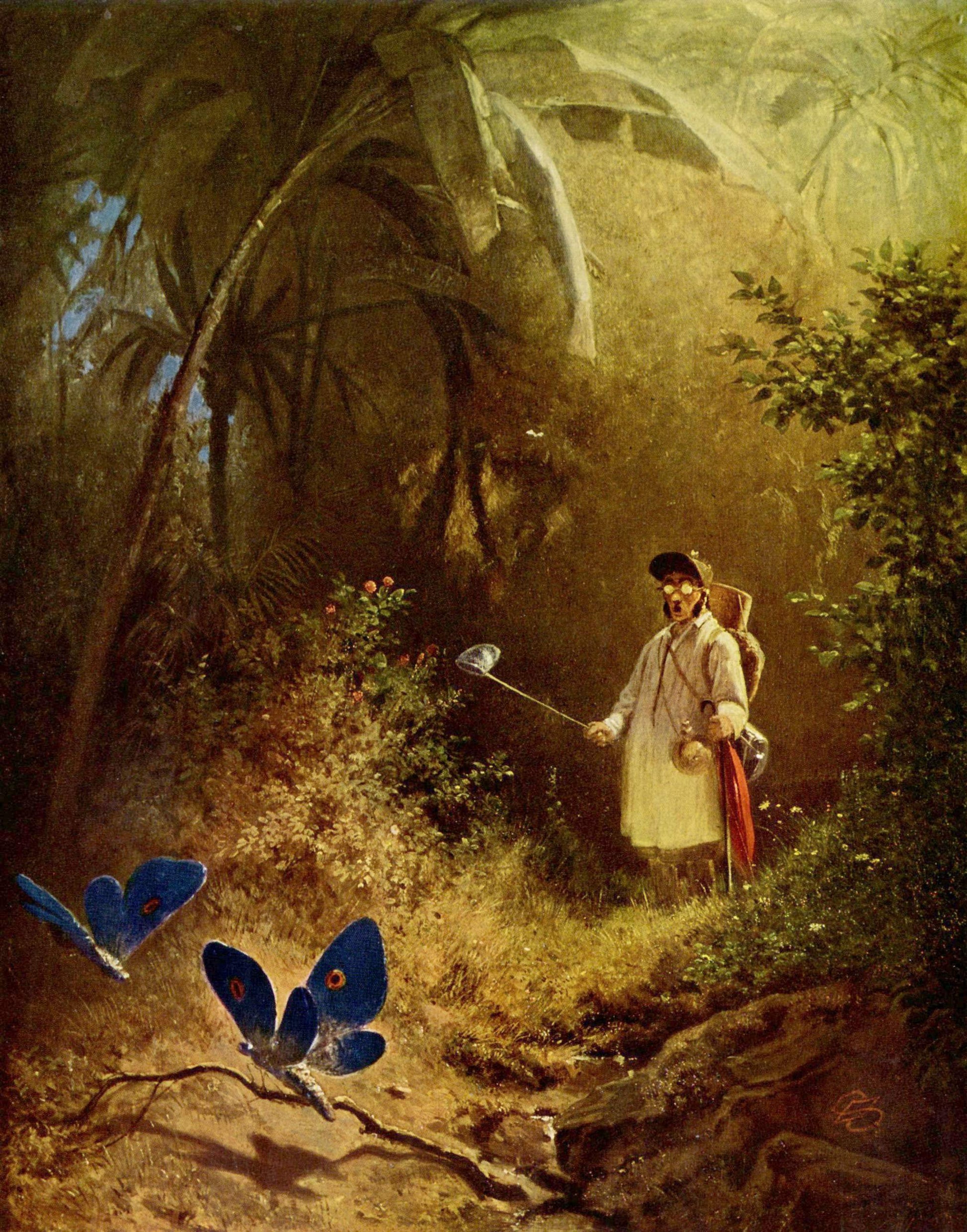 Lovec motýlů - Carl Spitzweg