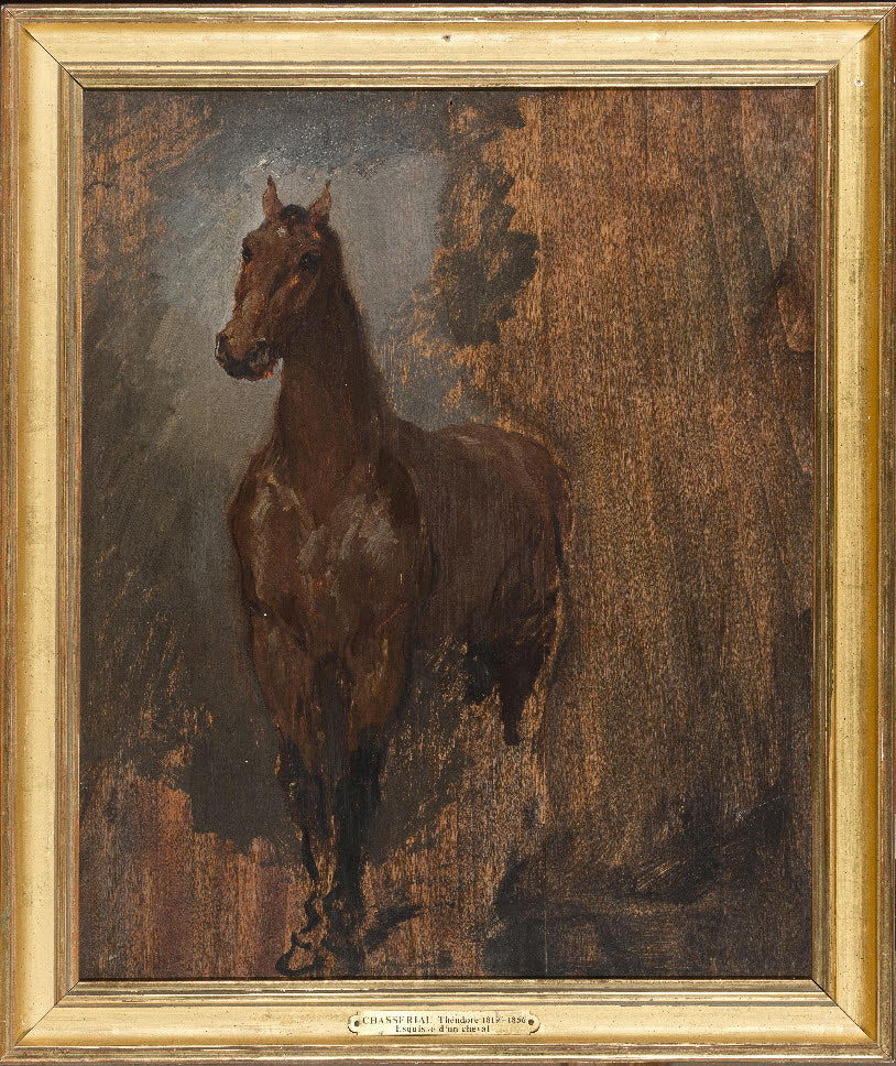 Cheval alezan de face. Étude. - Théodore Chassériau