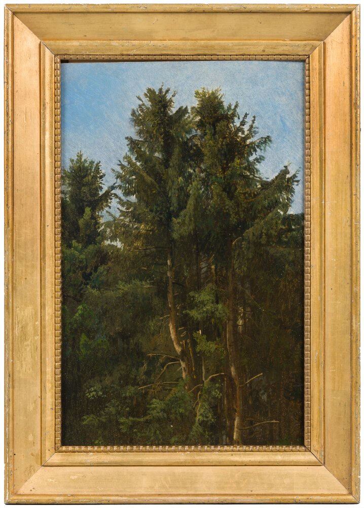 Arbres. Étude - Francesco Solimena