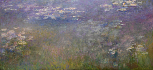 🌸 Lekníny – kolem roku 1920