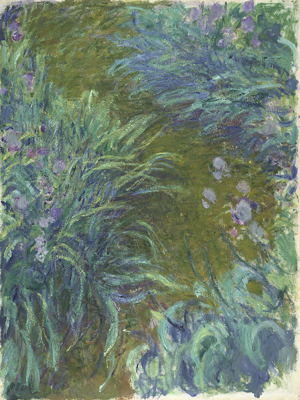 „Kosatce“ – Claude Monet (kolem 1914–1917)
