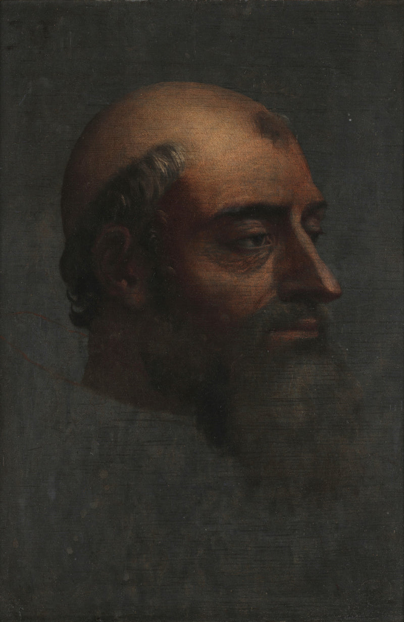 Portrét Klementa VII. s vousy - Sebastiano del Piombo