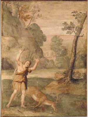 Proměna Cyparissa - Domenichino