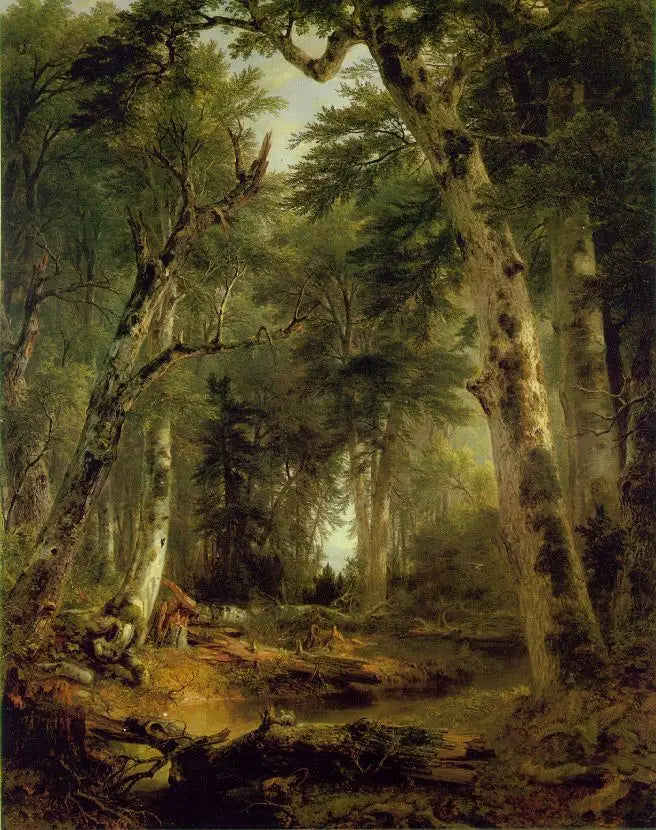 V lesích - Asher Brown Durand