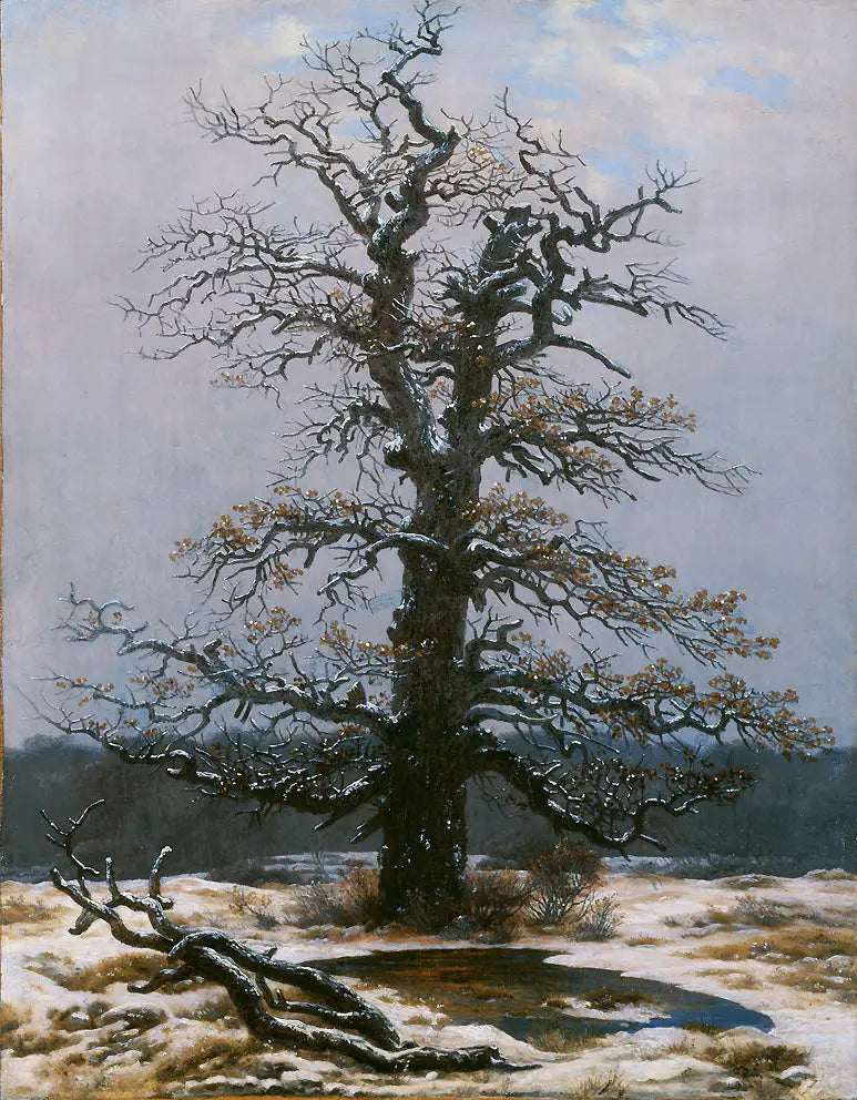 Dub pod sněhem - Caspar David Friedrich