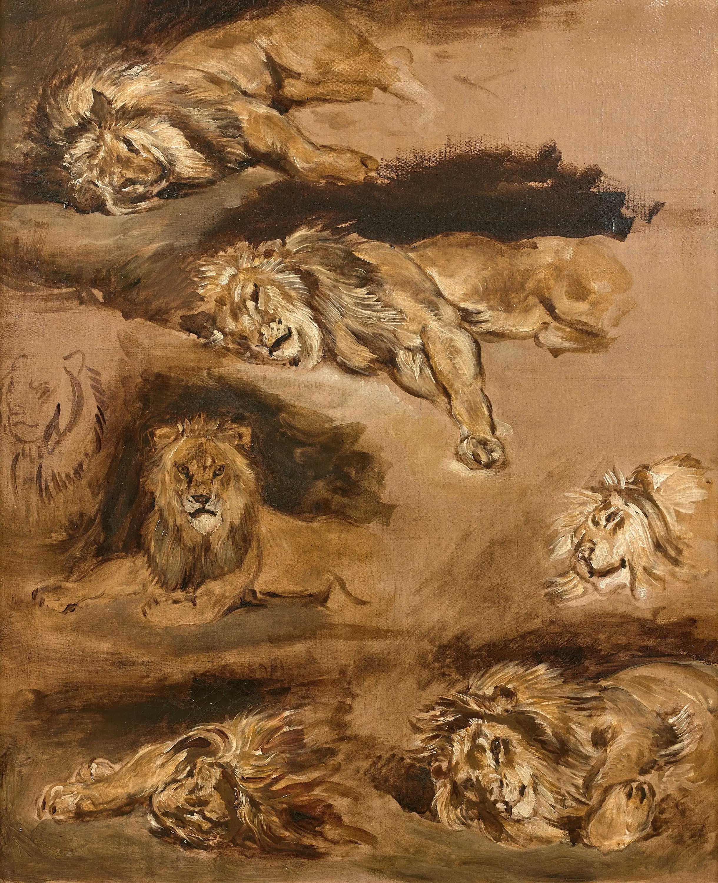 Reproduction du tableau « Études de lions couchés - Eugène Delacroix » par Alpha Reproduction en peinture à l’huile