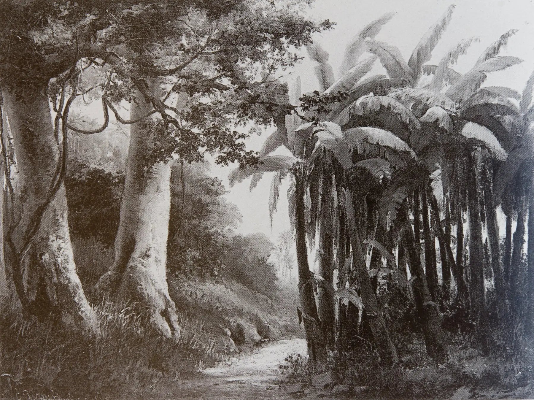Reproduction du tableau « Forêt tropicale - Camille Pissarro » par Alpha Reproduction en peinture à l’huile