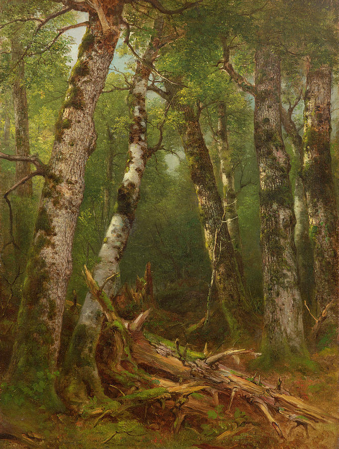 Groupe d'arbres - Asher Brown Durand
