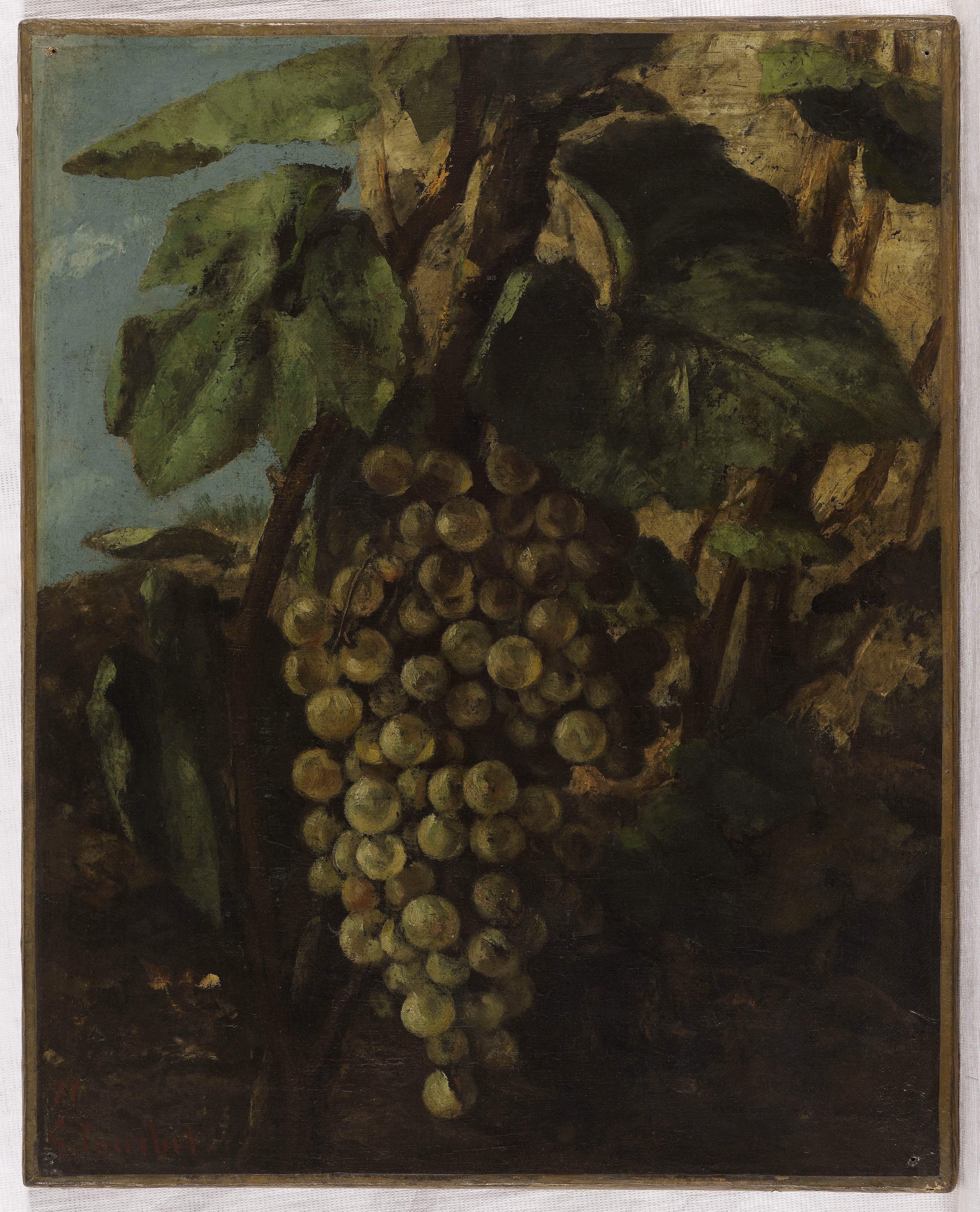 Grappe de raisins - Gustave Courbet