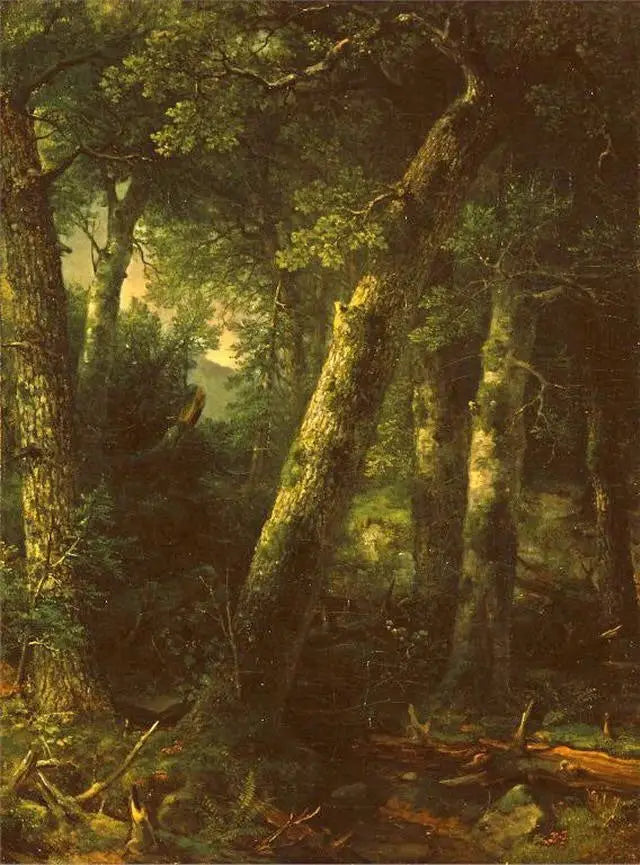 Les foresty v ranním světle - Asher Brown Durand