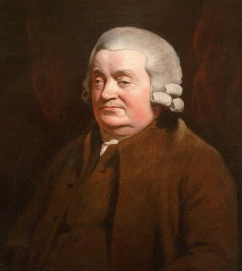 James Johnston (1721–1797), chirurg, starosta Dundee (1790–1791)
