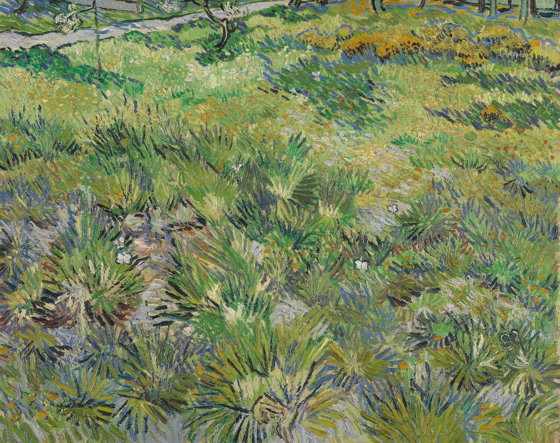 Dlouhá tráva s motýly - Vincent van Gogh