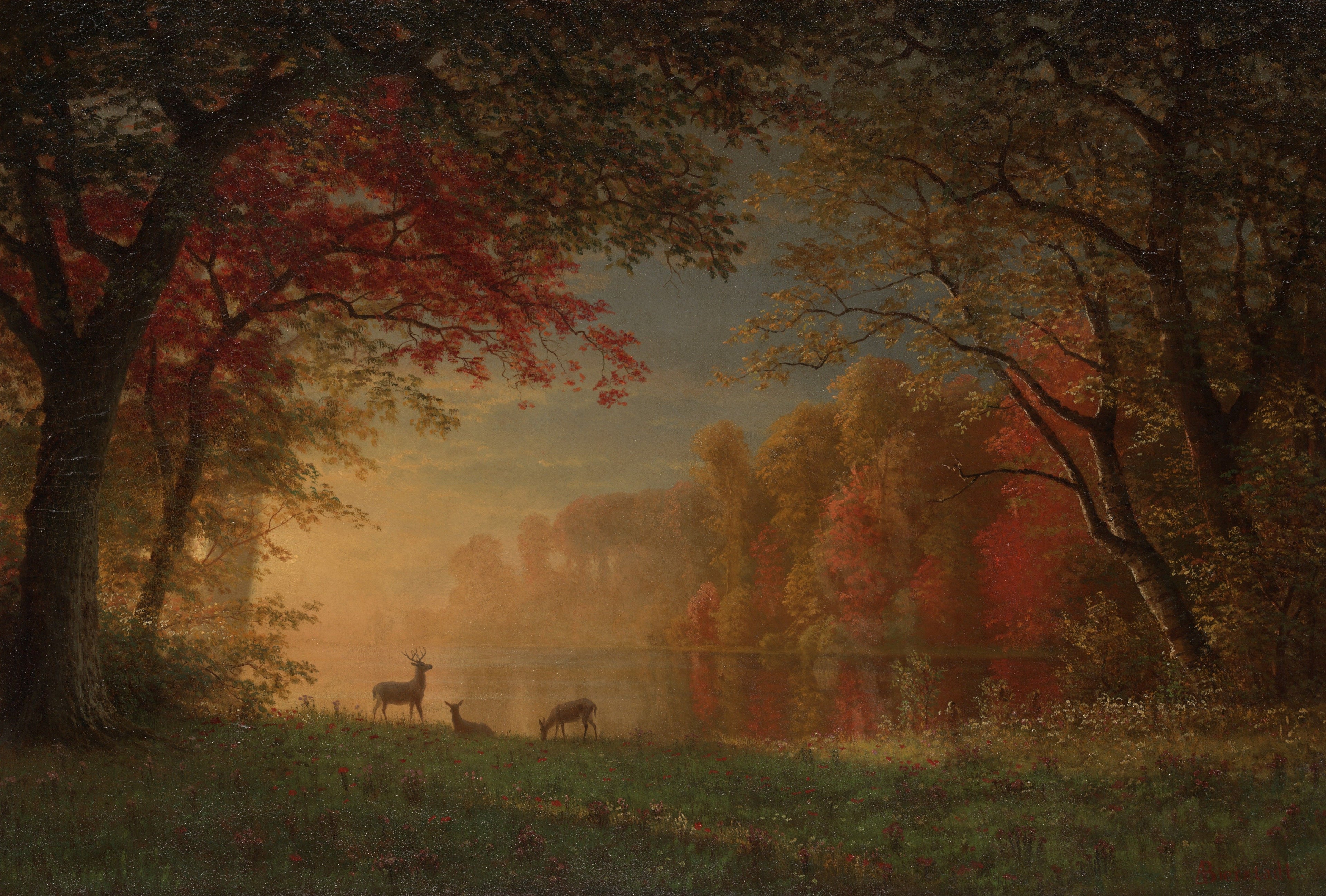 Coucher de soleil indien : cerf au bord d'un lac - Albert Bierstadt