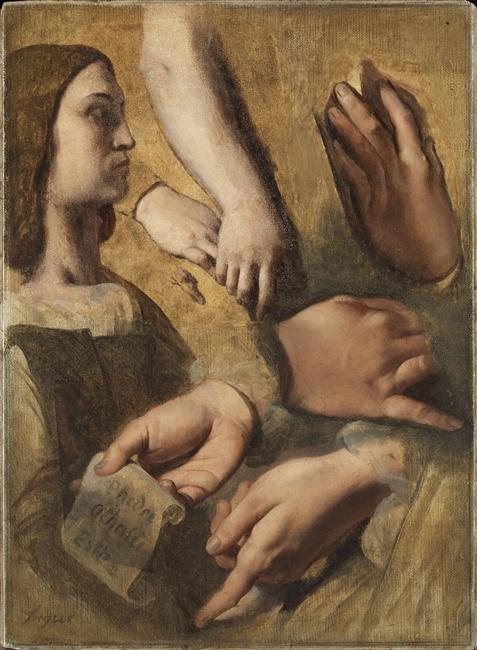 Profil Raffaela, ruce Raffaela, Kořen a Poussin, studie pro apoteózu Homéra - Jean-Auguste-Dominique Ingres