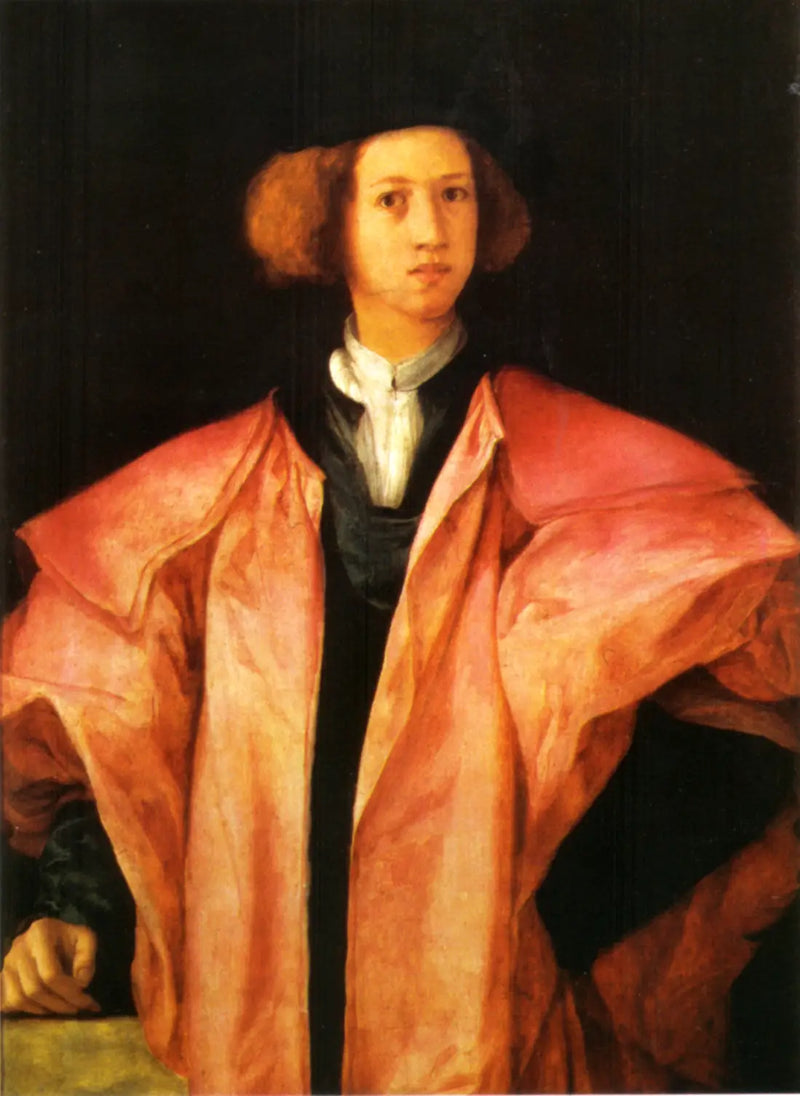 Portrét mladého muže - Pontormo