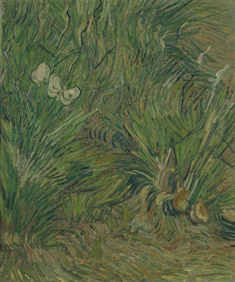 Zahrada s motýly - Vincent van Gogh