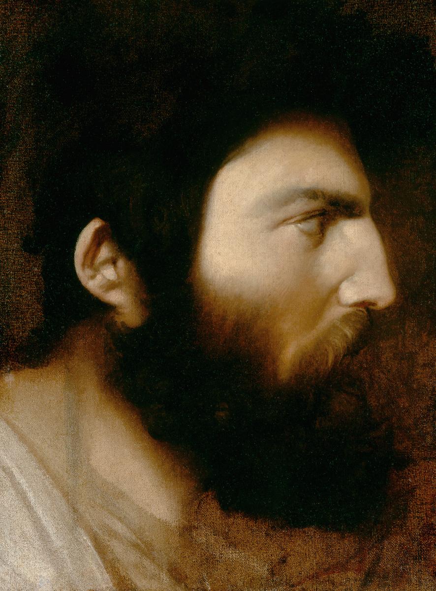 Profil muže s vousy - Jean-Auguste-Dominique Ingres