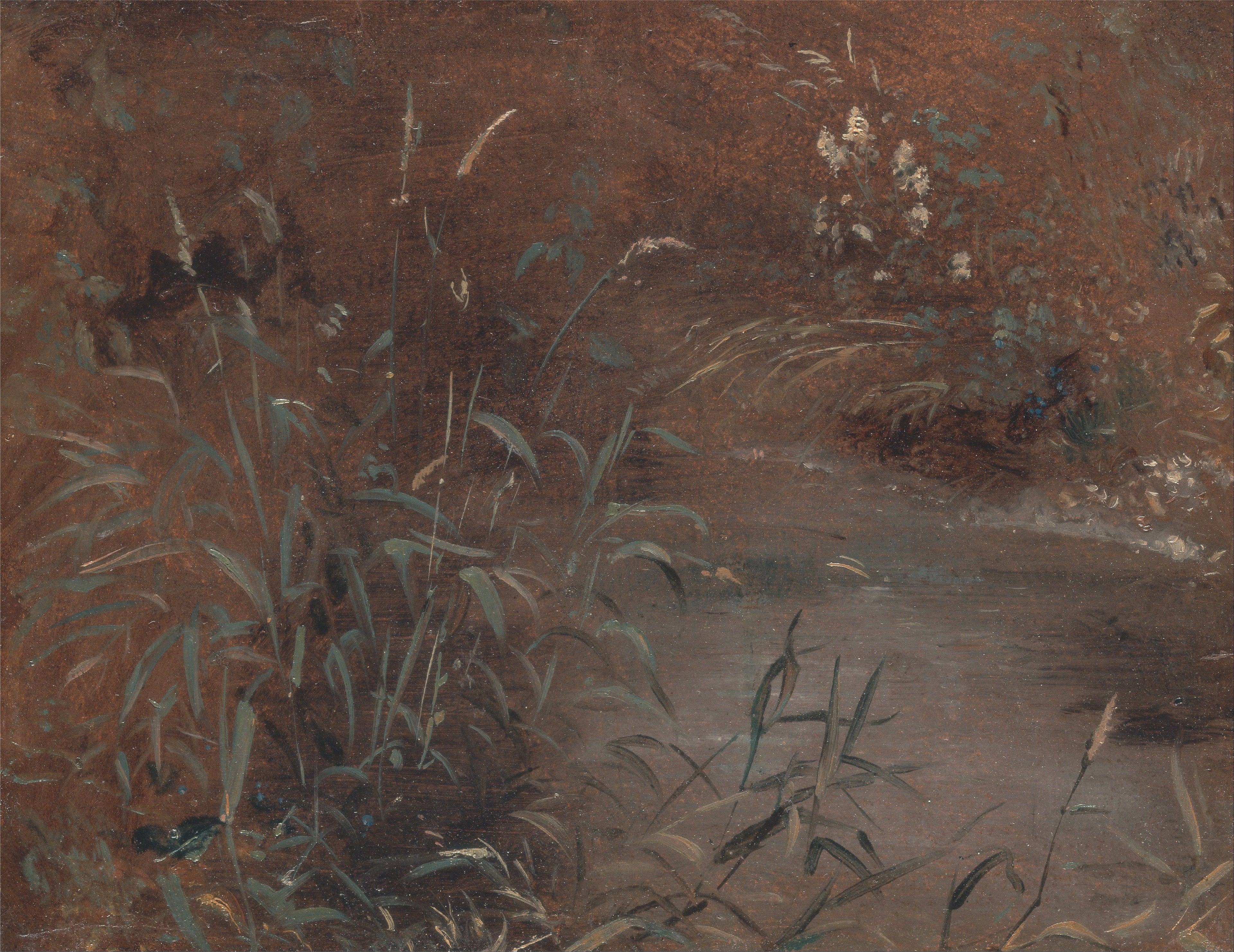 Joncs au bord d'une piscine - John Constable